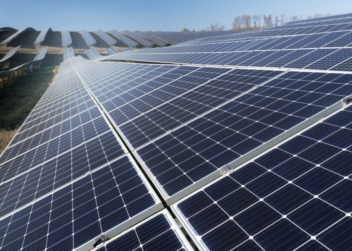 hermosa-planta-energia-alternativa-paneles-solares